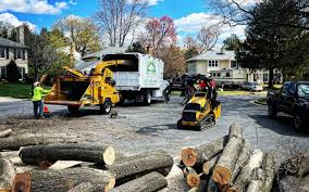 Pest Control for Lawns in Las Palmas Ii, TX